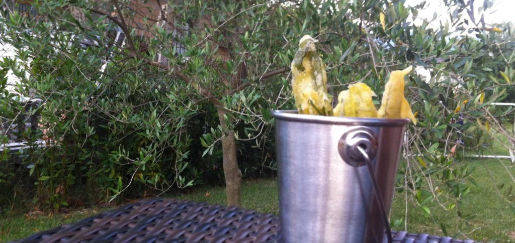 Salvia Fritta e Rosmarino Fritto