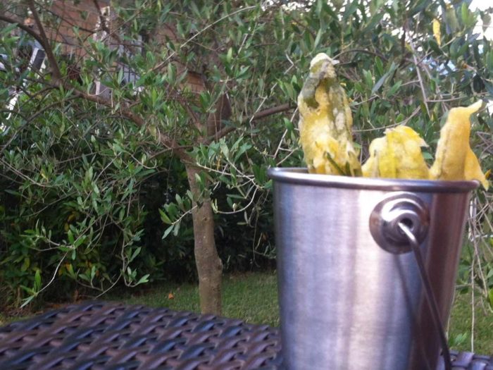 Salvia Fritta e Rosmarino Fritto